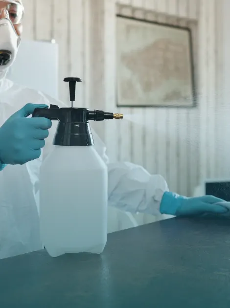 pulvérisation d'insecticide chez un particulier