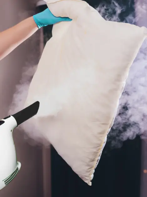 Traitement à la vapeur sèche avec appareil à vapeur sèche chez un particulier