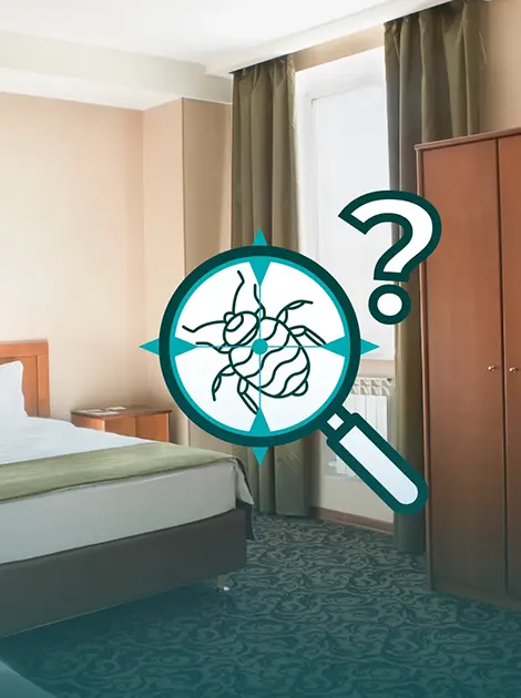 Localiser les punaises de lit en amont d'un traitement