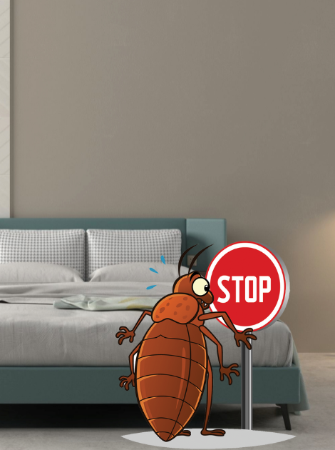 effet de rémanence de l'insecticide pour éradiquer l'ensemble des punaises