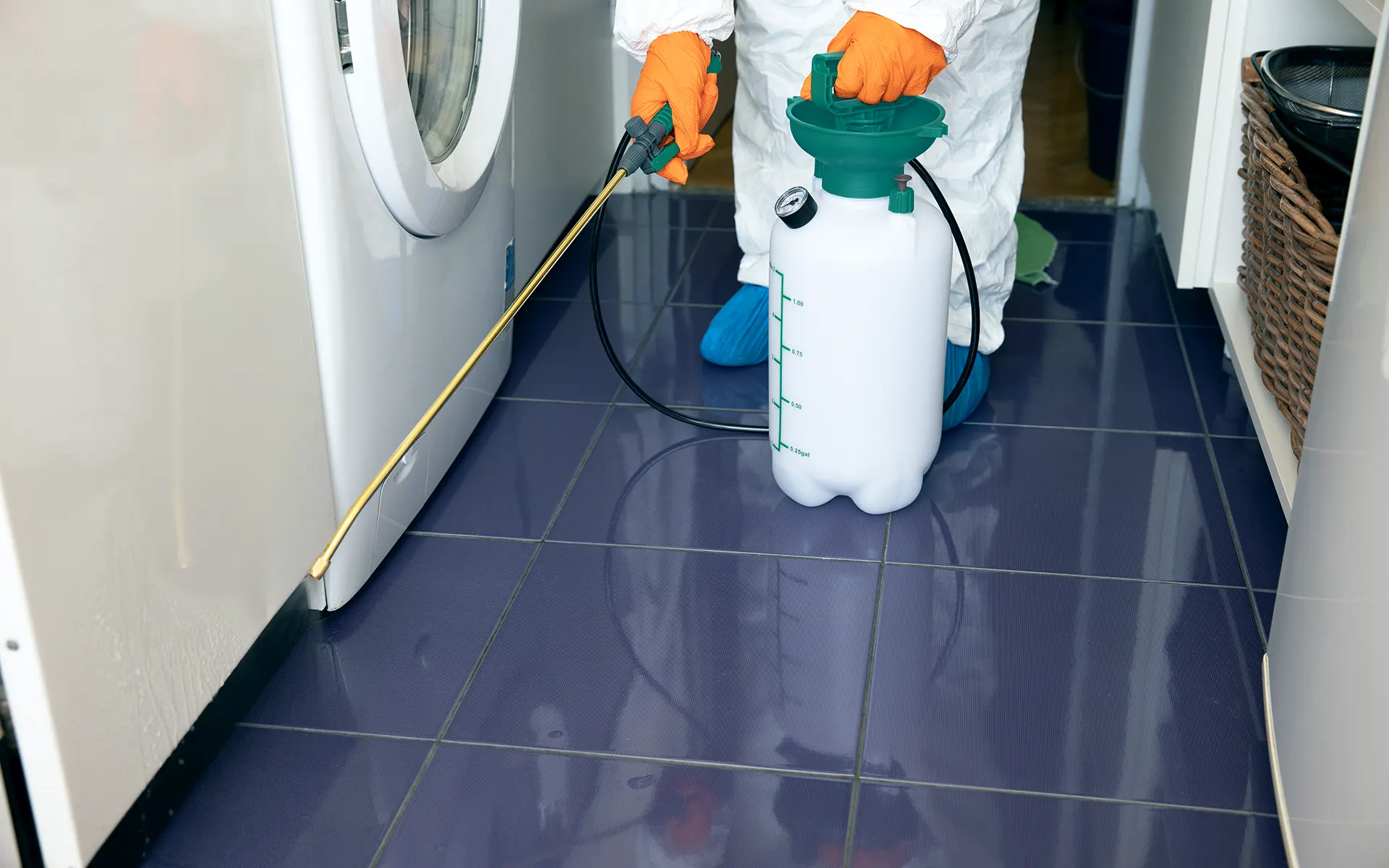 Traitement chimique ou naturel par pulvérisation de biocide ou insecticide