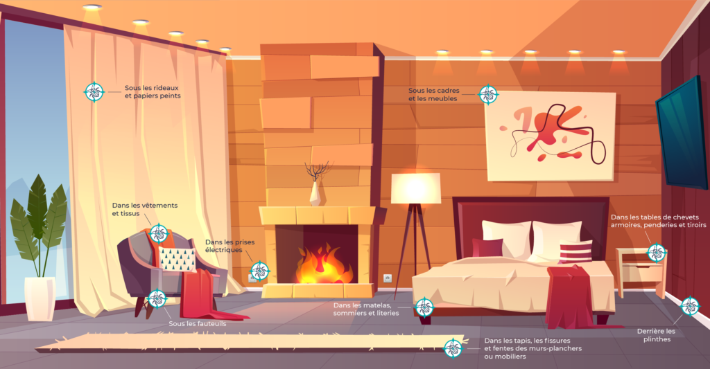 Cachettes des punaises de lit