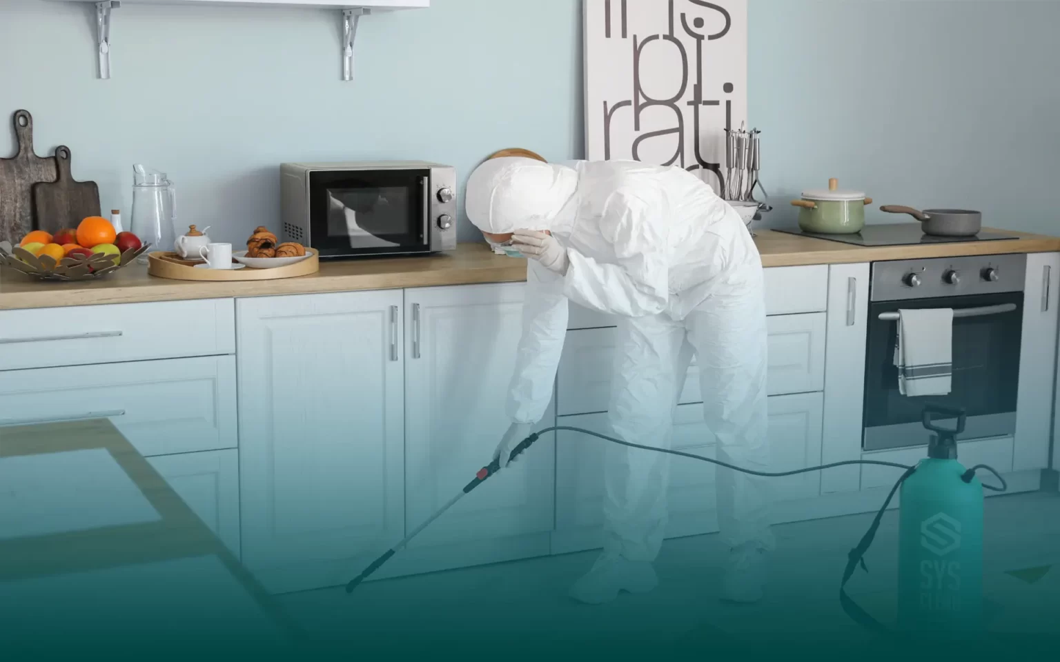 Traitement par pulvérisation d'insecticide chez un particulier