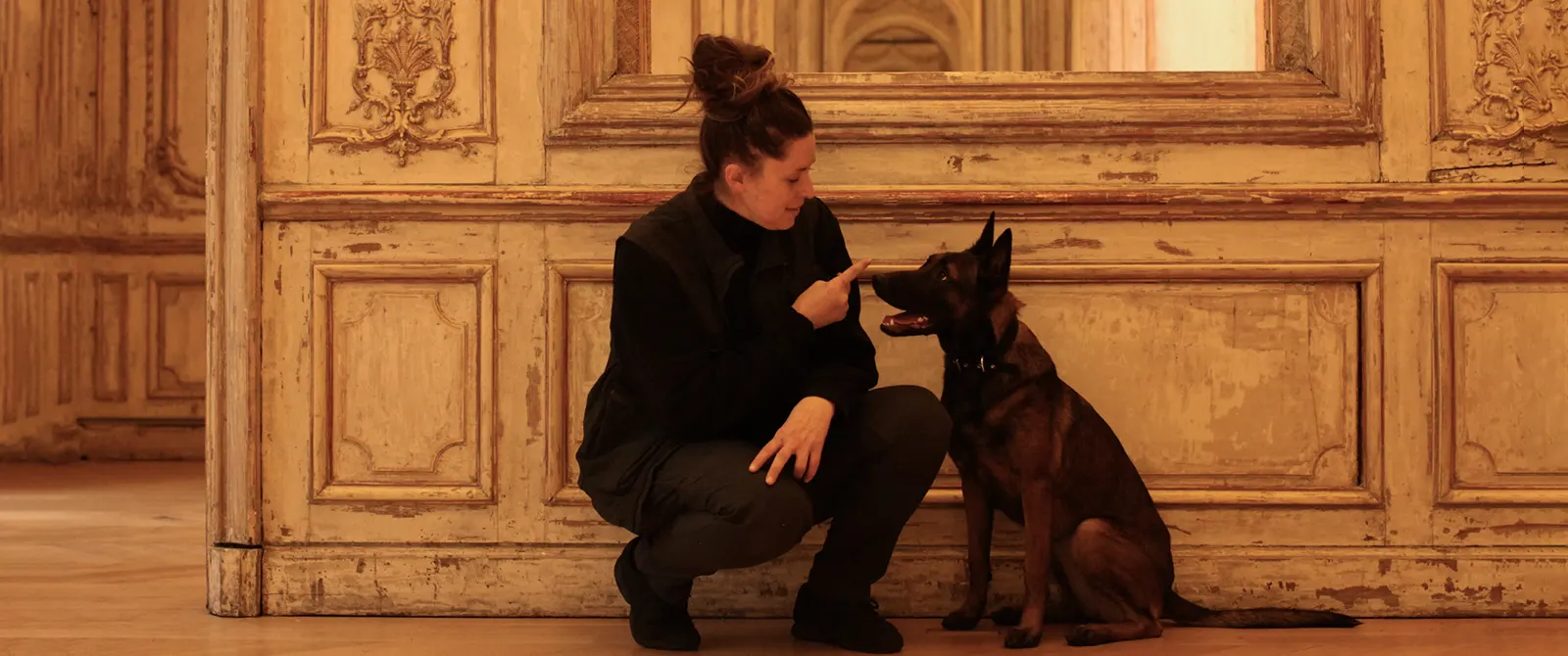 chien-renifleur-intriguer-par-son-maitre-chien